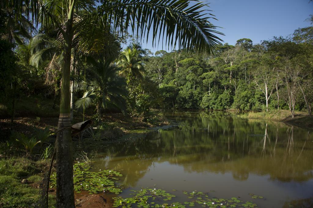 La Laguna Del Lagarto Eco-Lodge Pital  エクステリア 写真