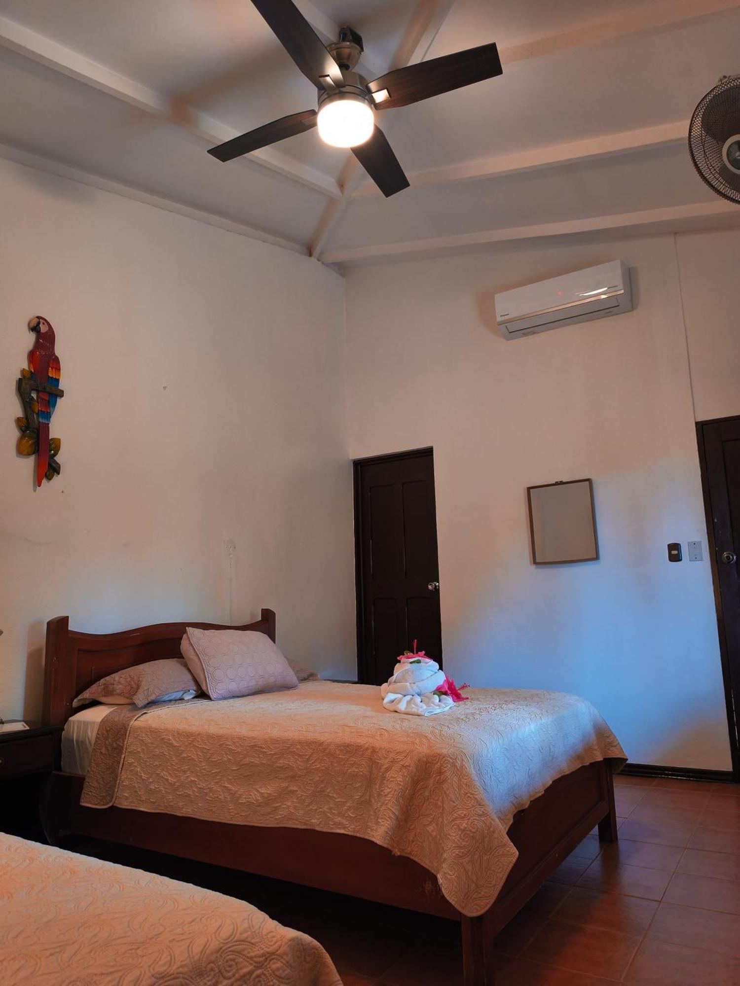 La Laguna Del Lagarto Eco-Lodge Pital  エクステリア 写真