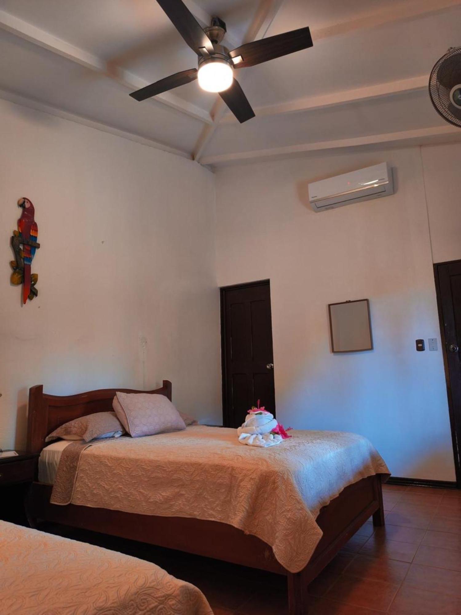 La Laguna Del Lagarto Eco-Lodge Pital  エクステリア 写真