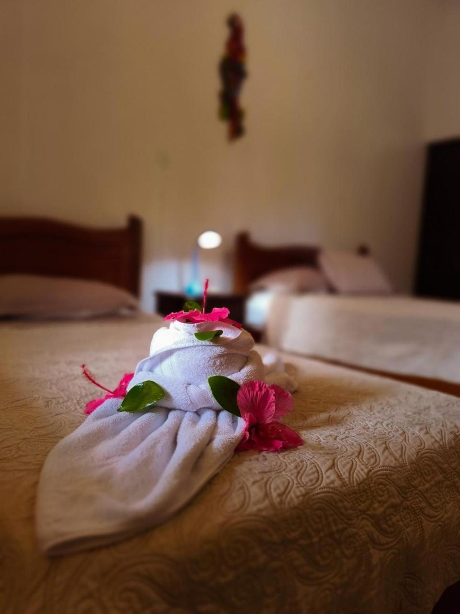 La Laguna Del Lagarto Eco-Lodge Pital  エクステリア 写真