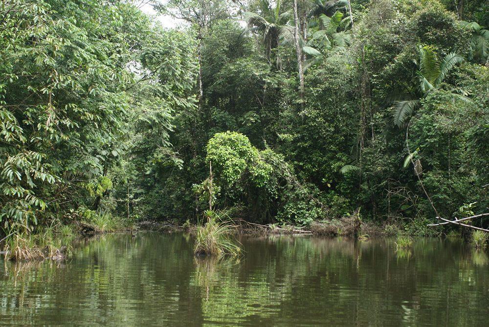 La Laguna Del Lagarto Eco-Lodge Pital  エクステリア 写真