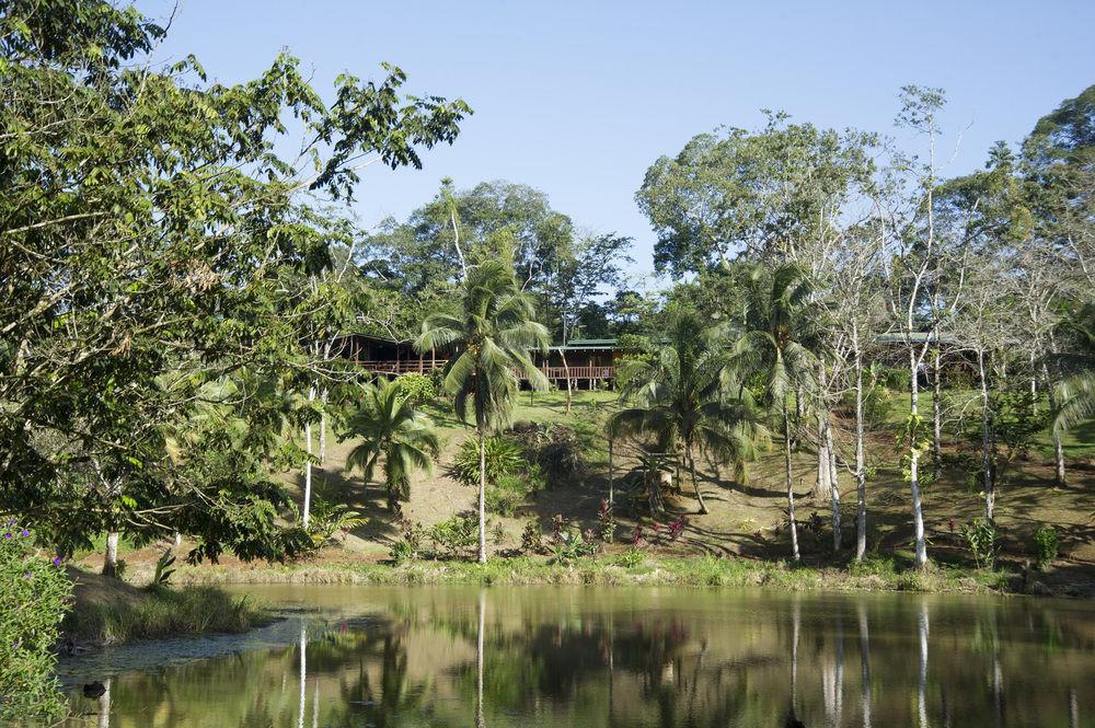 La Laguna Del Lagarto Eco-Lodge Pital  エクステリア 写真