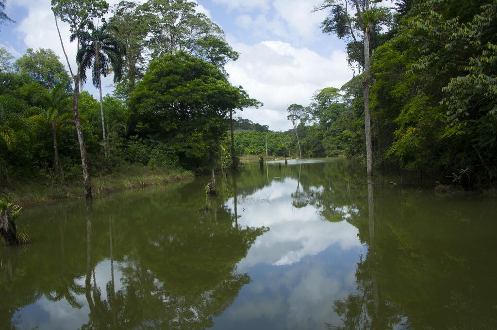 La Laguna Del Lagarto Eco-Lodge Pital  エクステリア 写真