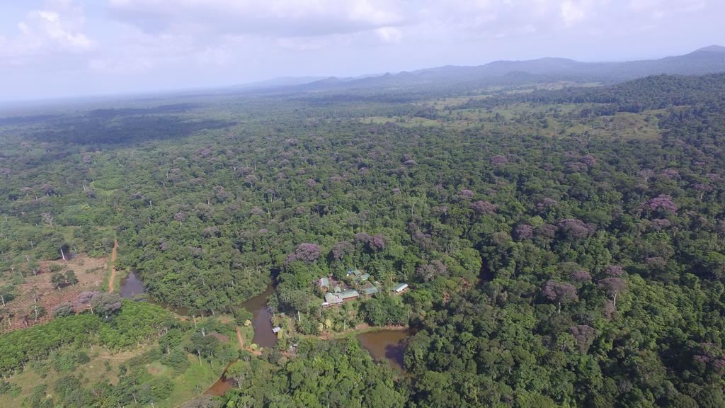 La Laguna Del Lagarto Eco-Lodge Pital  エクステリア 写真