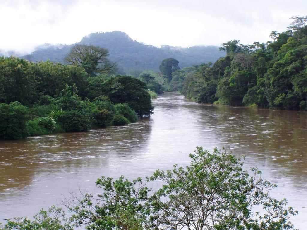 La Laguna Del Lagarto Eco-Lodge Pital  エクステリア 写真
