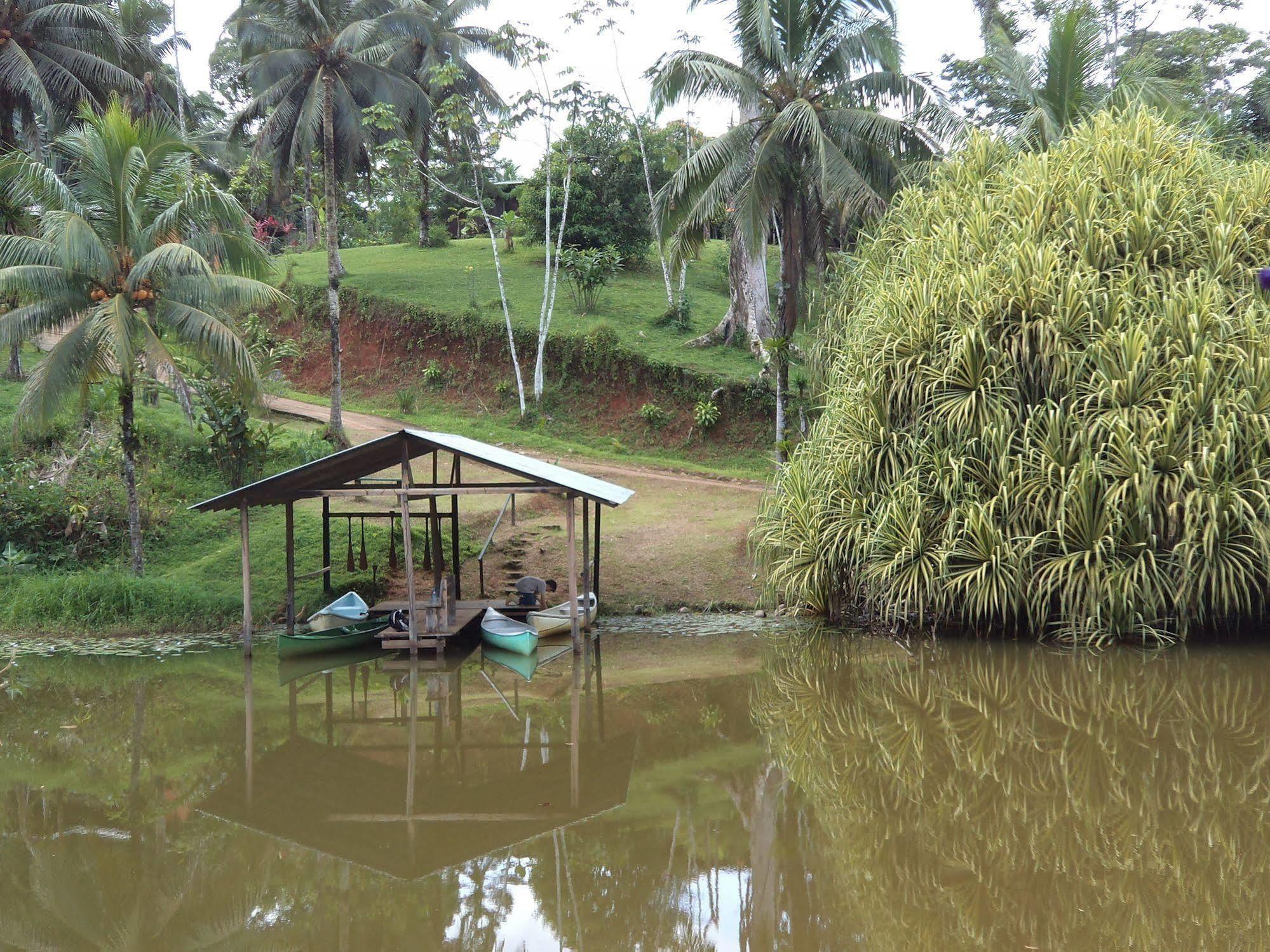 La Laguna Del Lagarto Eco-Lodge Pital  エクステリア 写真
