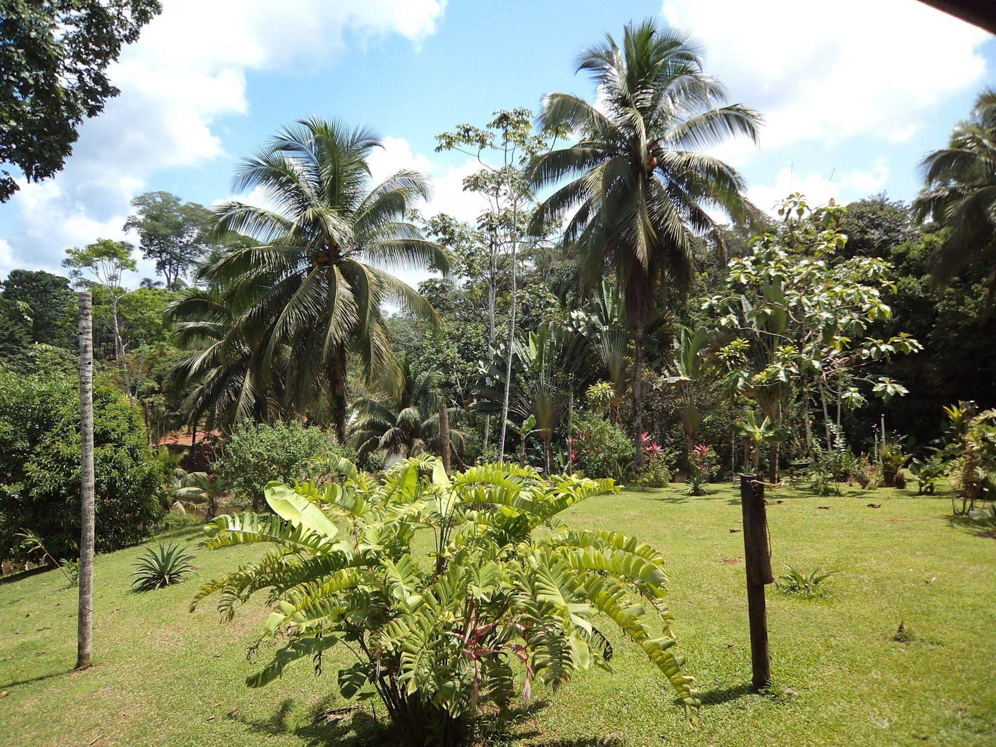 La Laguna Del Lagarto Eco-Lodge Pital  エクステリア 写真