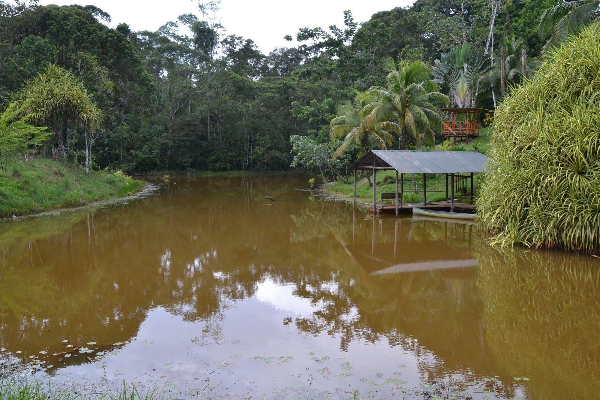 La Laguna Del Lagarto Eco-Lodge Pital  エクステリア 写真