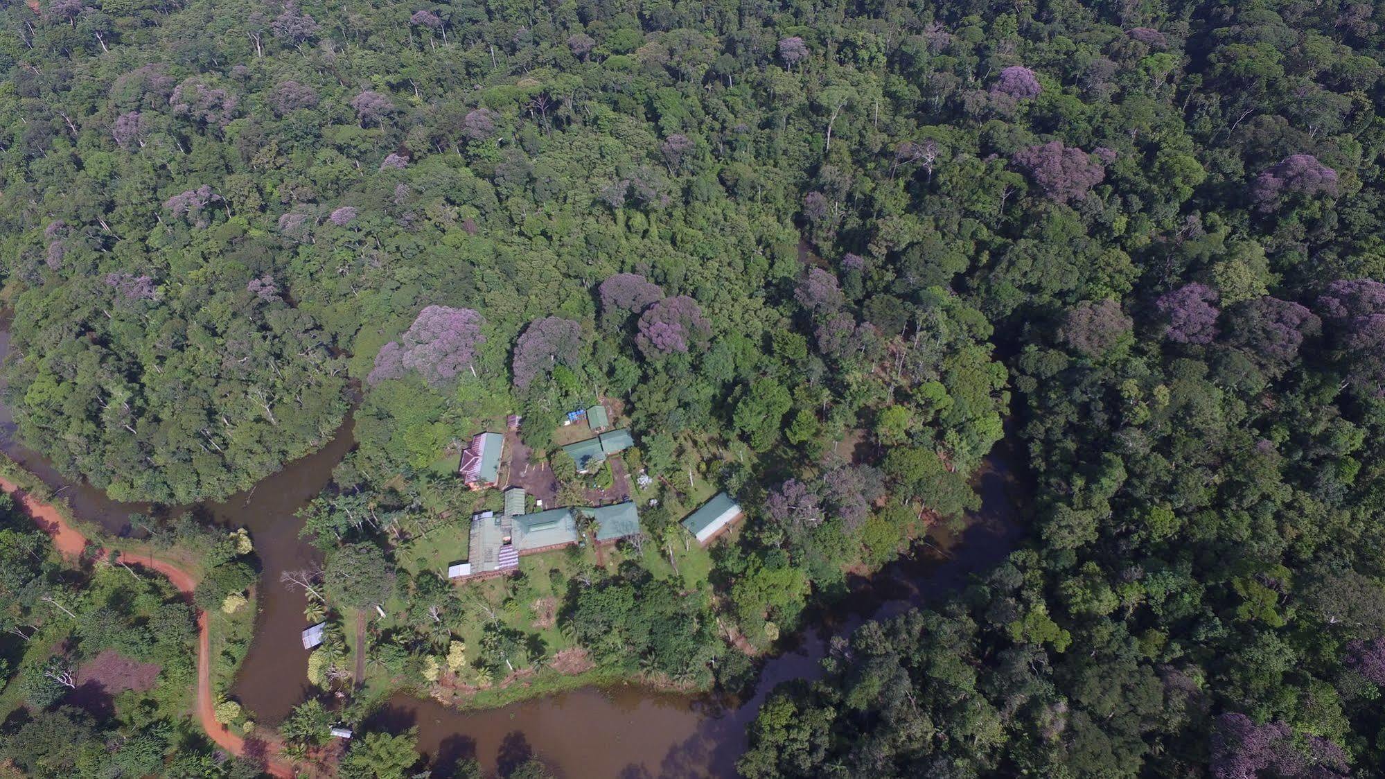 La Laguna Del Lagarto Eco-Lodge Pital  エクステリア 写真