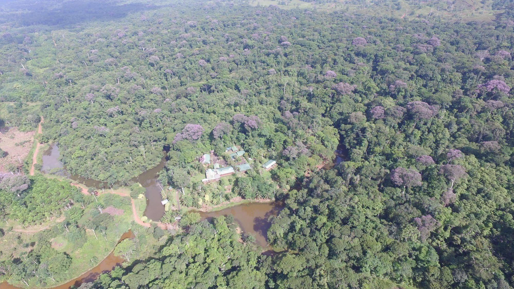 La Laguna Del Lagarto Eco-Lodge Pital  エクステリア 写真