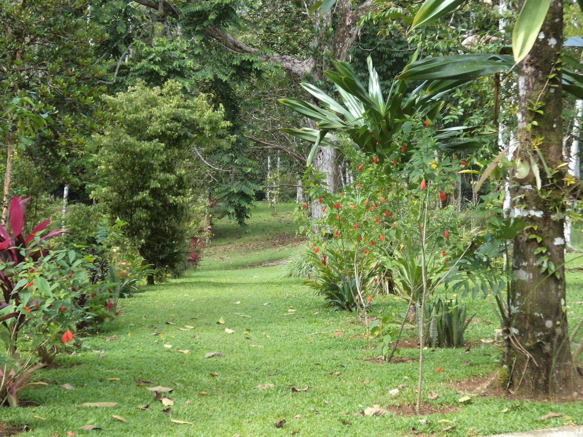 La Laguna Del Lagarto Eco-Lodge Pital  エクステリア 写真