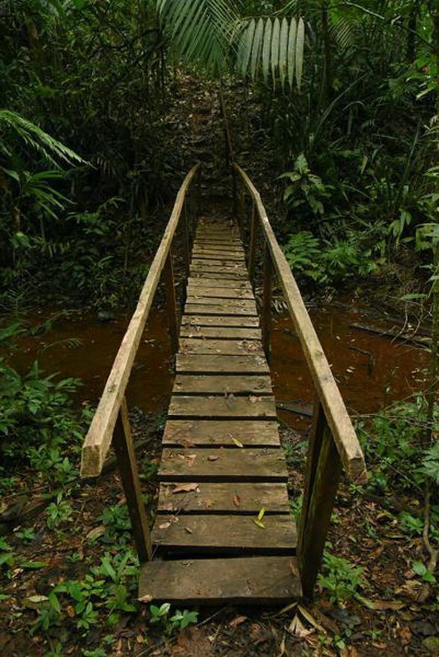 La Laguna Del Lagarto Eco-Lodge Pital  エクステリア 写真