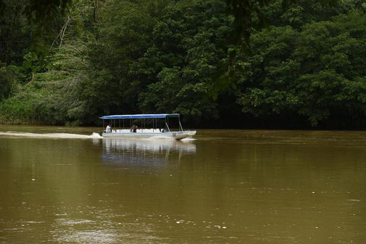 La Laguna Del Lagarto Eco-Lodge Pital  エクステリア 写真