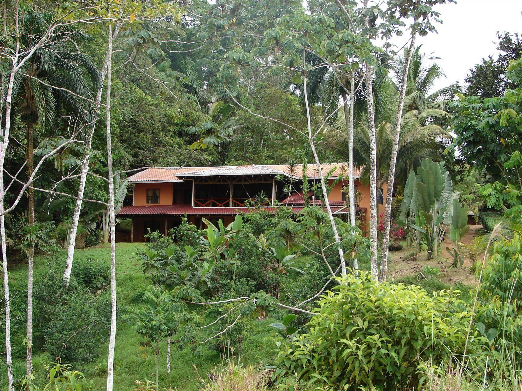 La Laguna Del Lagarto Eco-Lodge Pital  エクステリア 写真